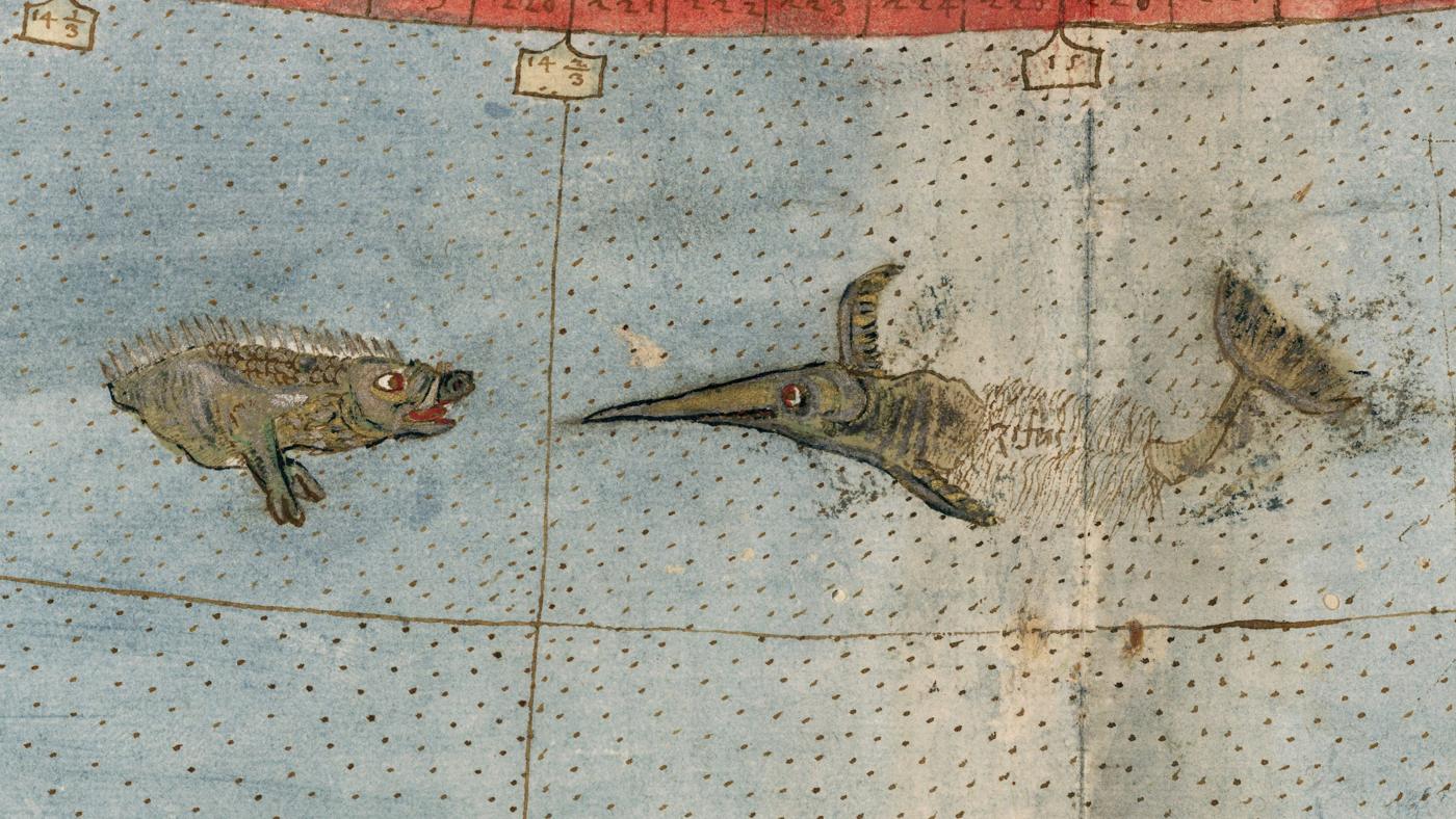 O xífio desenhado no mapa de 1587